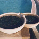 Pools